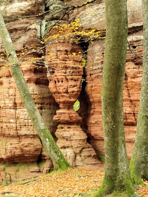 sandstone-rocks-259314_640
